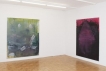 Impressionen sic! Raum für Kunst im Kunstpavillon. Paul Lipp, Ausstellungsansicht