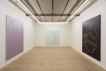 Grégory Sugnaux, Plastifun, sic! Raum für Kunst, 2019, Foto: Andri Stadler